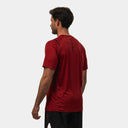 CAMISETA DROP SHOT FENIX